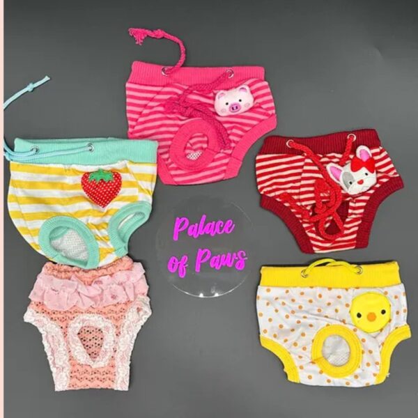 Period Panties - Image 3
