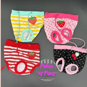 Period Panties