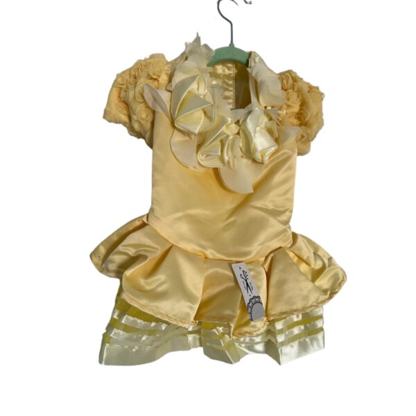 Fancy Dresses XL - Image 2
