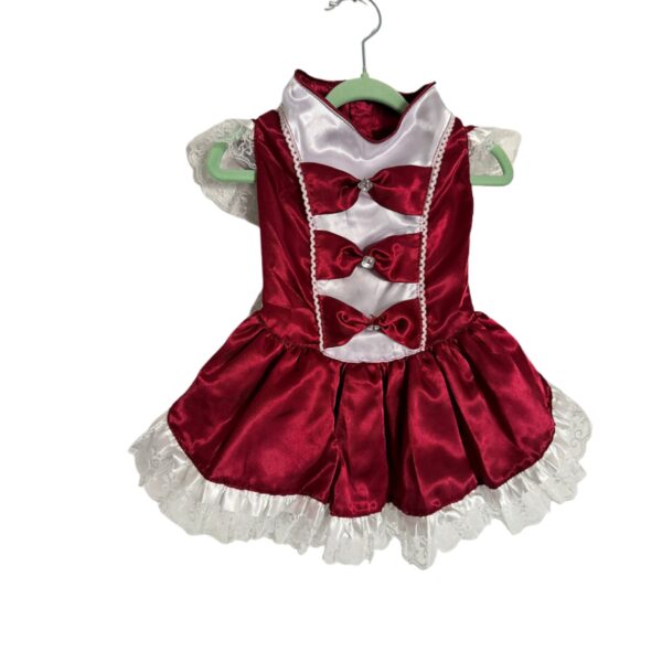 Fancy Dresses L - Image 2