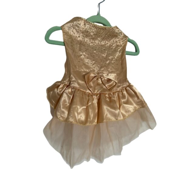 Fancy Dresses L - Image 3