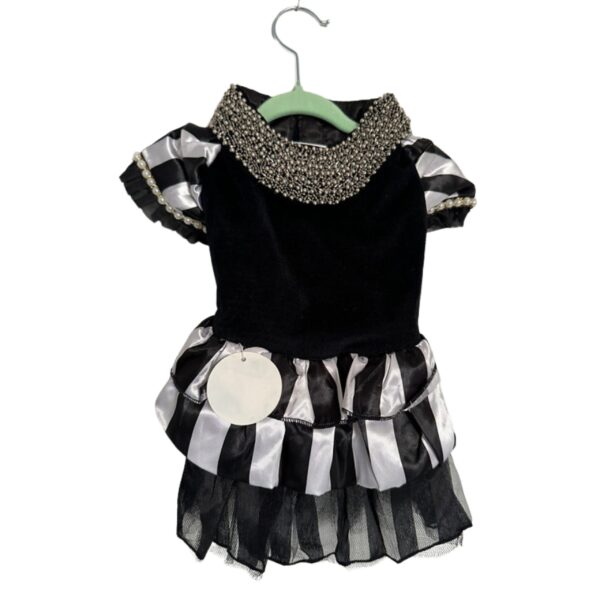 Fancy Dresses L - Image 7