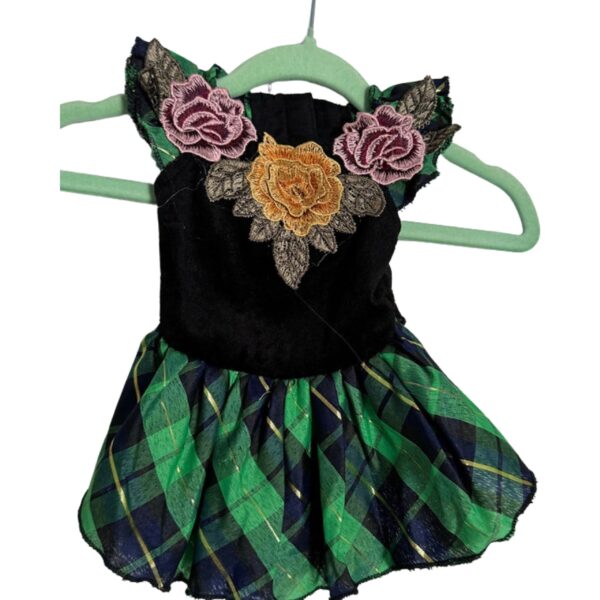 Fancy Dresses XS