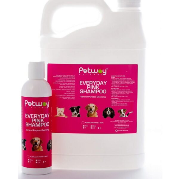 Everyday Pink Shampoo - Image 2