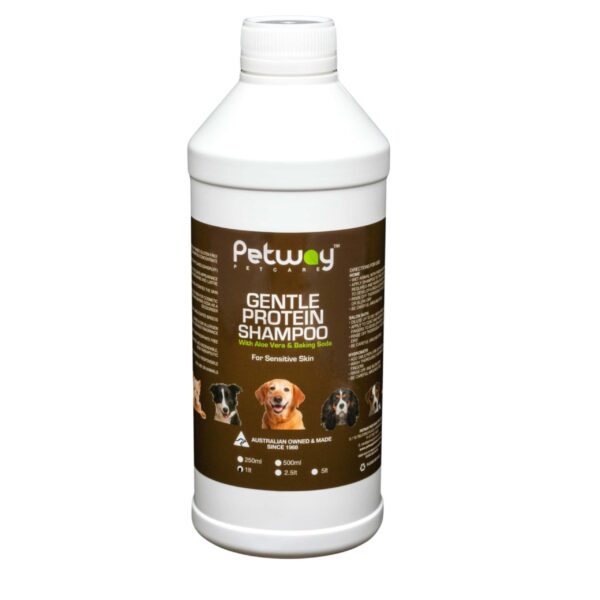 Gentle Protein Shampoo - Image 3