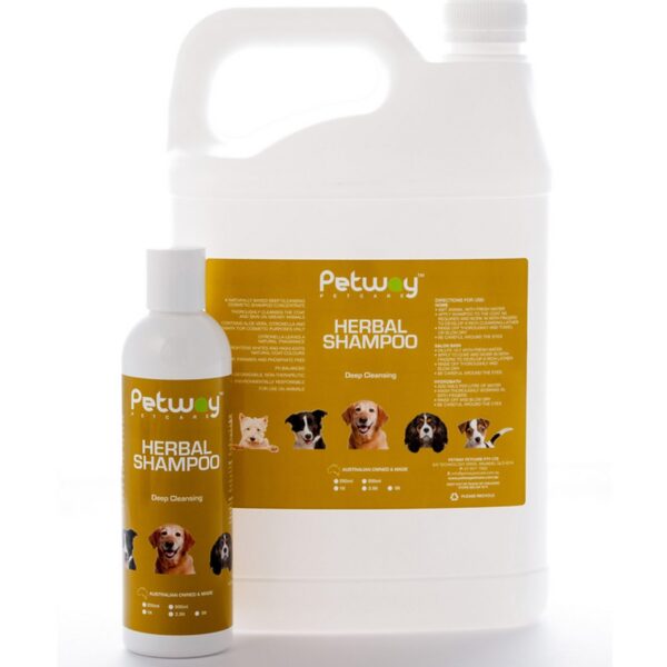 Herbal Shampoo - Image 2