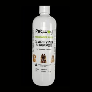 Fragrance Free Shampoo
