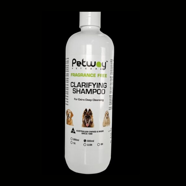 Fragrance Free Shampoo