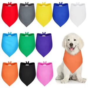 Bandana Plain